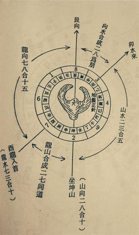 艮水有毒嗎|【艮水有毒嗎】艮水有毒？拆解《王后傘下》王后龐大後宮彩蛋